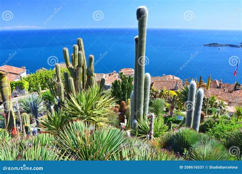 Exotic Cactus Garden in Eze, France Stock Image - Image of jardin ...