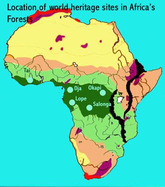 Congo River Basin Rainforest World Map : Where Are Rainforests ...