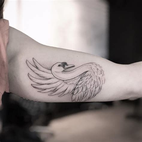 Swan tattoo | Swan tattoo, Tattoos, Pretty tattoos