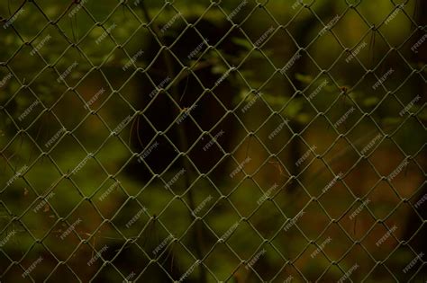 Premium Photo | Green wire fence