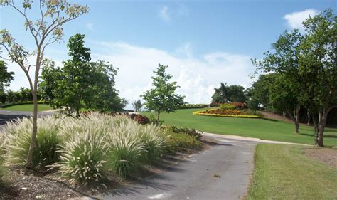 Golf Course Maintenance — Caribbean Landscape