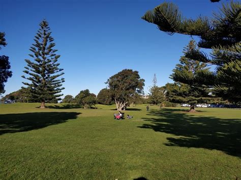 Top 3 things to do at Long Bay Regional Park Auckland