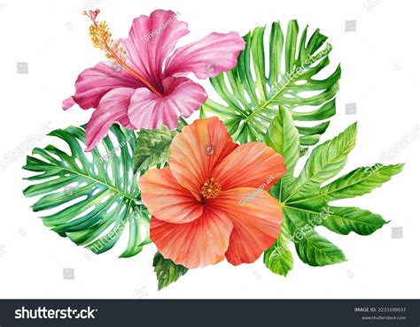 Hibiscus Flowers Clip Art