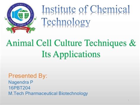 Animal cell culture techniques