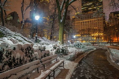 Central Park in Winter at Night Stock Image - Image of plants, cold: 239024287