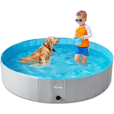 Making a Splash: The Best Dog Swimming Pool For Summer!