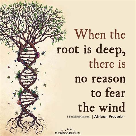 When The Root Is Deep | Tree of life quotes, Roots quotes, Tree quotes