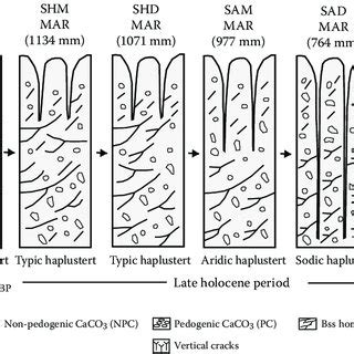 (PDF) Formation and Management of Cracking Clay Soils (Vertisols) to ...