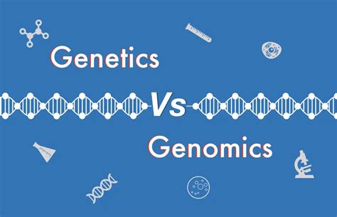 Difference Between Genetics Vs Genomics – Genetic Education