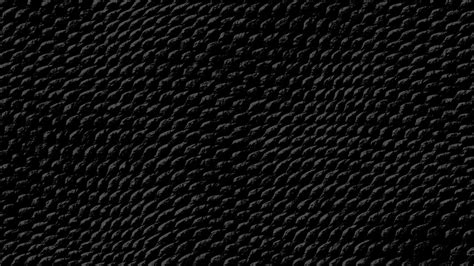 Snake Skin wallpaper | 1920x1080 | #14271