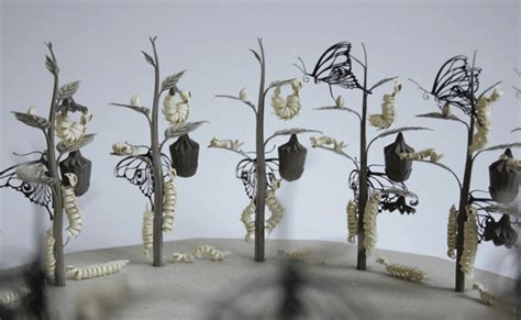 Cut Paper Zoetrope Reveals the Life Cycle of a Butterfly as it Rotates | Colossal Enchanted Wood ...