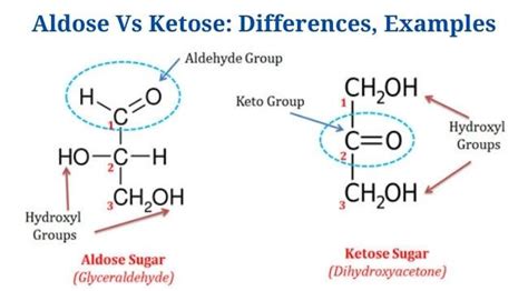 Aldose Vs Ketose: Definition, Differences, Examples - PhD Nest