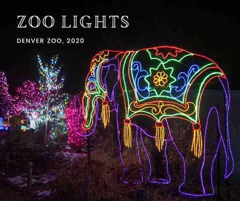 Little Hiccups: Denver Zoo Lights