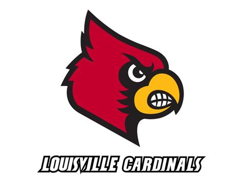 Louisville Cardinals Logo PNG vector in SVG, PDF, AI, CDR format