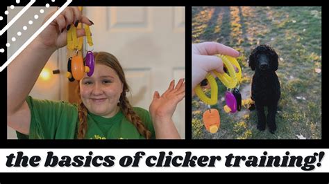 the basics of clicker training! - YouTube