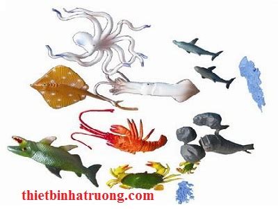 Bộ động vật sống dưới nước