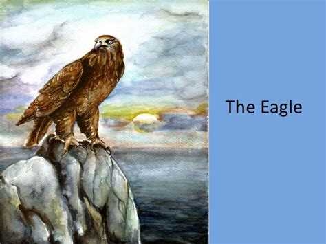 The Eagle – Literary Globe