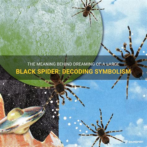 The Meaning Behind Dreaming Of A Large Black Spider: Decoding Symbolism | ShunSpirit