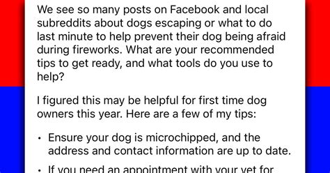 Dog Owners Share Effective Strategies To Calm Dogs During Fireworks In Preparation For 4th Of July