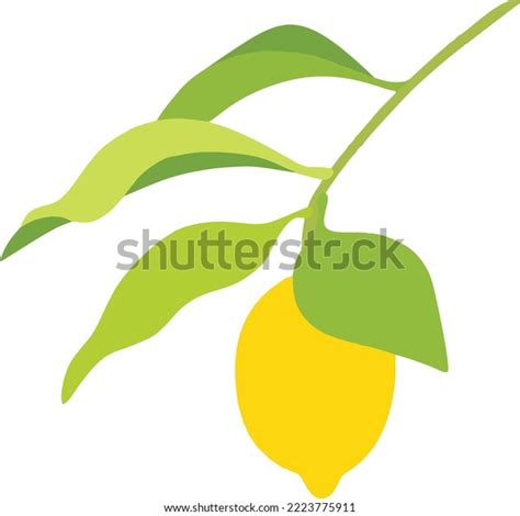 Lime Fresh Cartoon Vector Drawing Art Stock Vector (Royalty Free ...