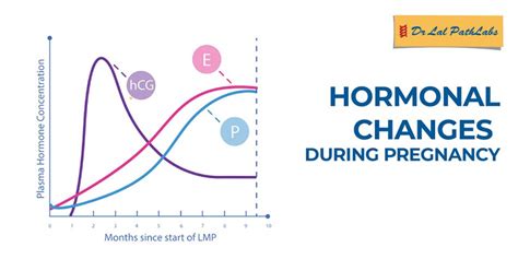 Hormonal Changes During Pregnancy | Dr. Lal PathLabs