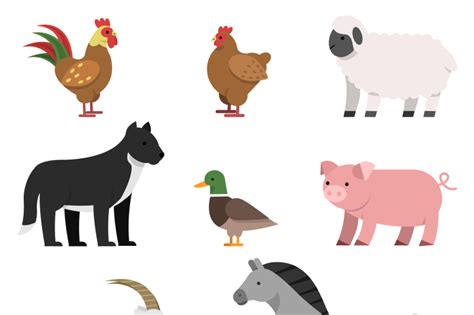 Flat illustrations of farm animals By ONYX | TheHungryJPEG