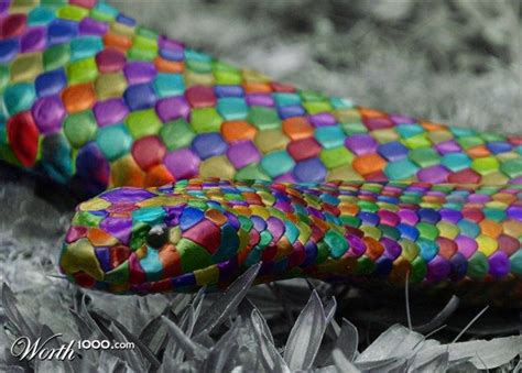 Color Blind 16 - Worth1000 Contests (With images) | Pretty snakes, Colorful snakes, Beautiful snakes