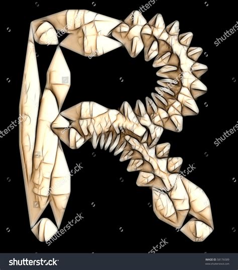 Bone Font Stock Photo 58176589 : Shutterstock