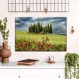 Famous Trees In Val D'Orcia Tuscany Wall Art | Photography | by Scott Stulberg