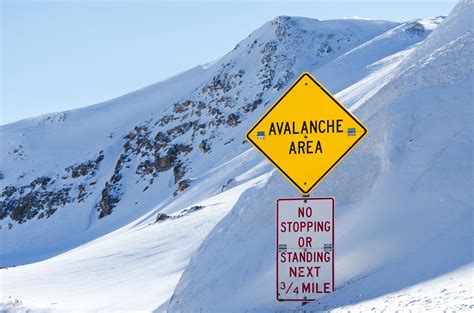 Avalanche Explained - Infoupdate.org