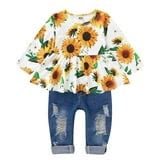 CARETOO Girls Clothes Outfits, Cute Baby Girl Floral Short Sleeve Pant Set Flower Ruffle Top ...