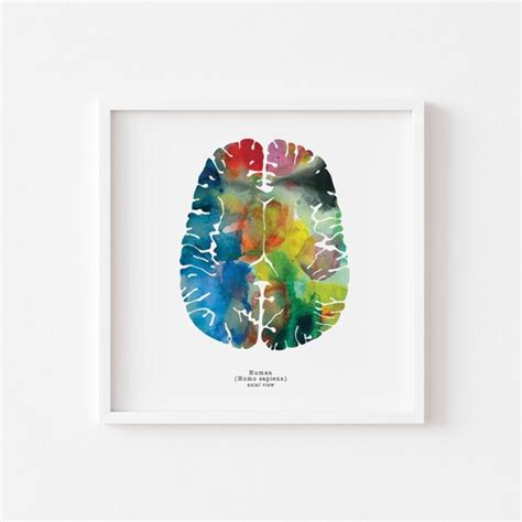 Human Brain Art Print 8.5 X 8.5 Watercolor - Etsy