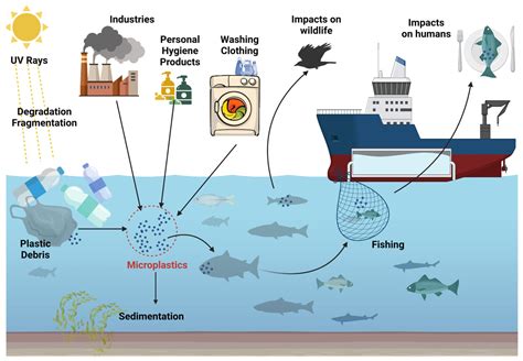 What are Microplastics? · UPSCprep.com