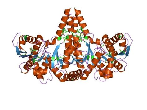 Protein Engineering | Codexis | Enzymes