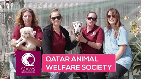 How to volunteer in Qatar | Qatar Living