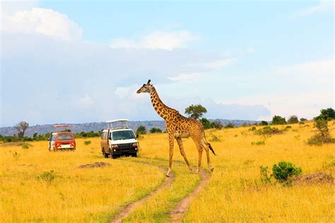 Masai Mara Big Five | Kenya Safarirejse