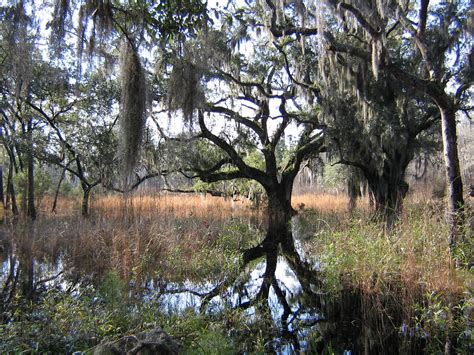 Rose Hill Plantation - Yemassee, Beaufort County, South Carolina SC