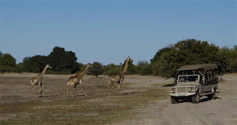 Chobe Game Lodge in Chobe National Park - Luxury safari in Botswana