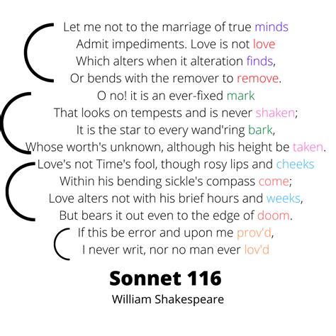 How to Write a Shakespearean Sonnet | by Hayley Schoeppler ...