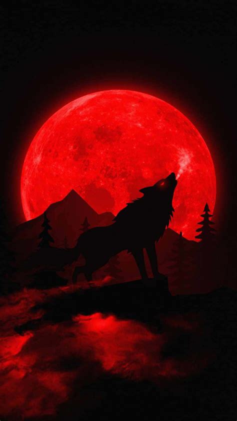 Download Cool Blood Moon Wolf Wallpaper | Wallpapers.com