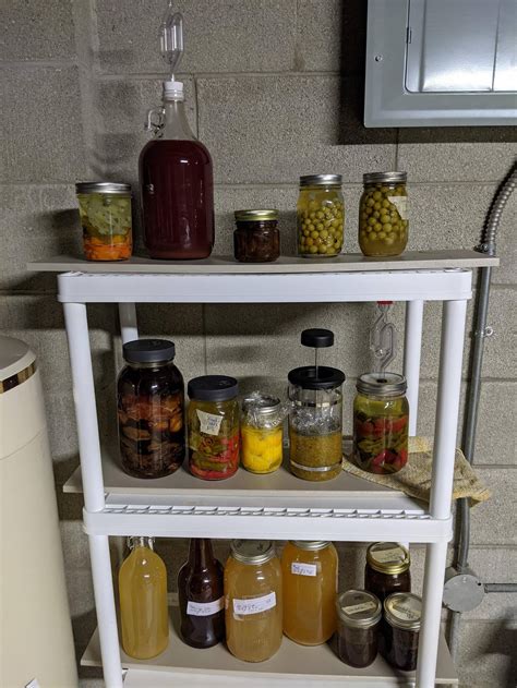 Fermenting is a slippery slope : r/fermentation