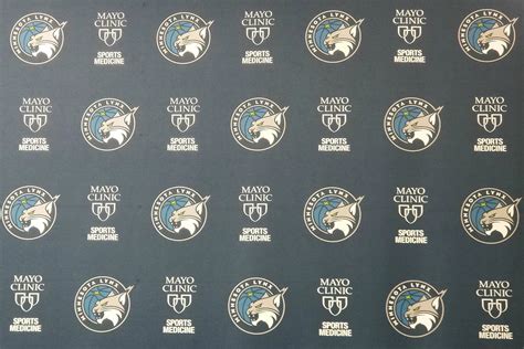 Minnesota Lynx Announce 2019 Roster