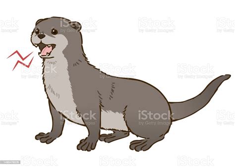 Angry Otter Stock Illustration - Download Image Now - Anger, Cartoon ...