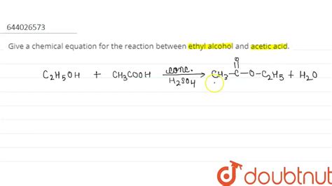 Give a chemical equation for the reaction between ethyl alcohol and acetic acid. | 10 | CHEMISTR ...