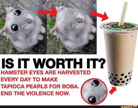 IS IT WORTH IT? HAMSTER EYES ARE HARVESTED EVERY DAY TO MAKE TAPIOCA ...