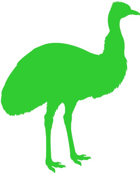 Emu Silhouette | Free vector silhouettes