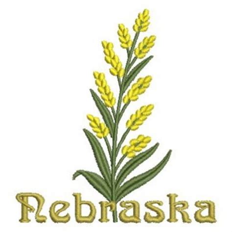 Nebraska State Flower Machine Embroidery Design | Embroidery Library at ...