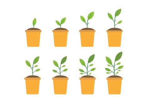 Free Grow Up Plant Icons 118539 Vector Art at Vecteezy