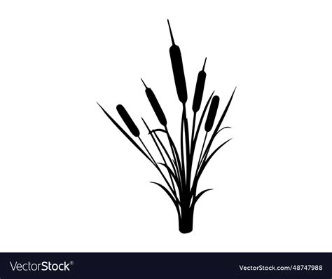 Cattail silhouette art Royalty Free Vector Image