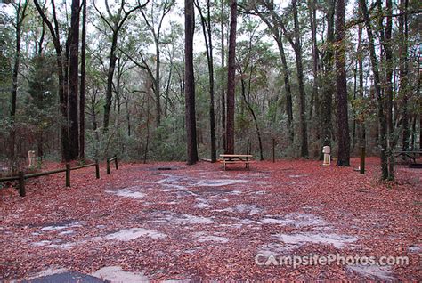 Suwannee River State Park - Campsite Photos, Info & Reservations